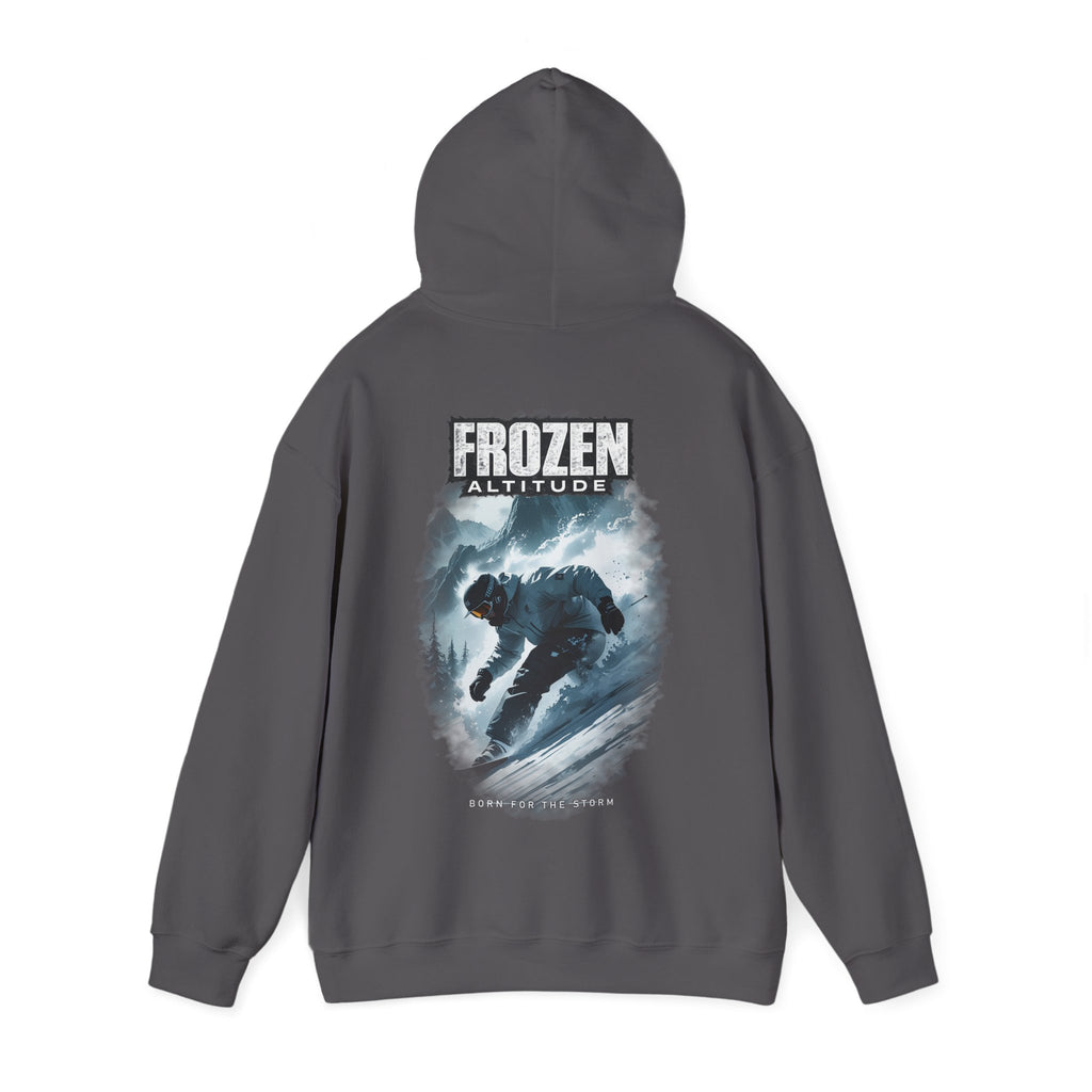Storm Rider Hoodie